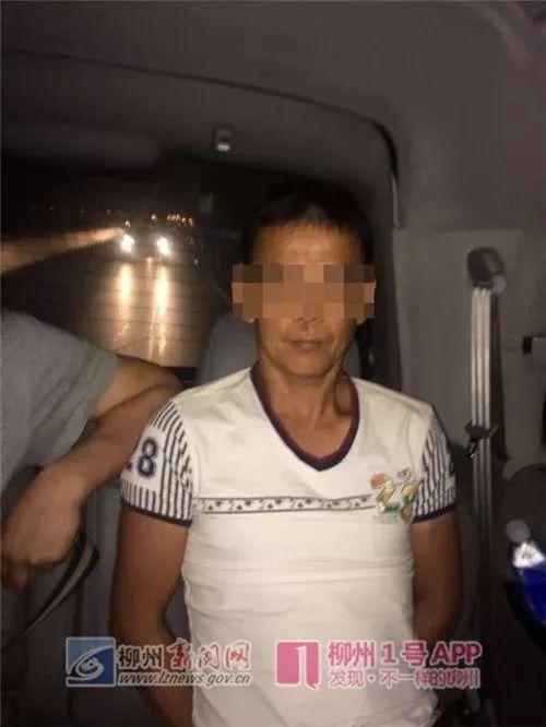 鹿寨最新租房信息，科技智能引領(lǐng)租房新體驗(yàn)