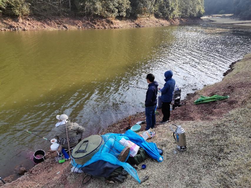 最新水庫(kù)釣魚視頻，探索釣魚樂趣與技巧全攻略