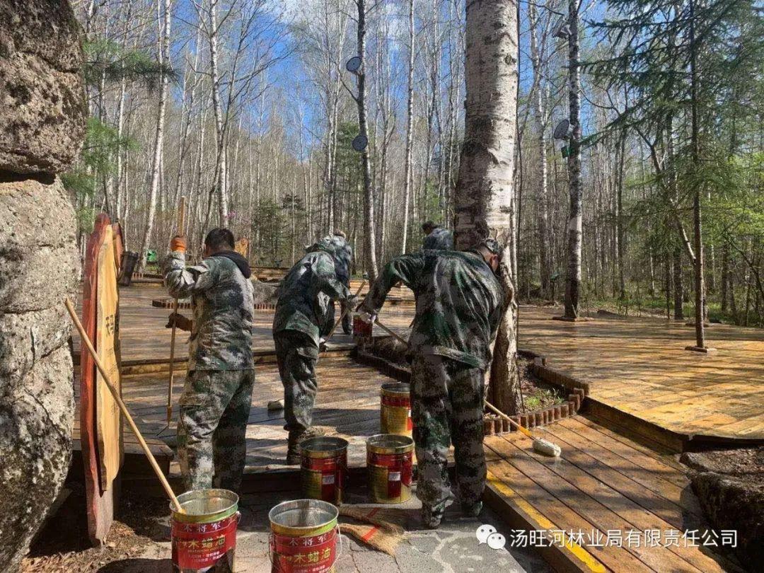 探尋神秘寶石世界的獨(dú)特魅力，最新奇石新聞報(bào)道