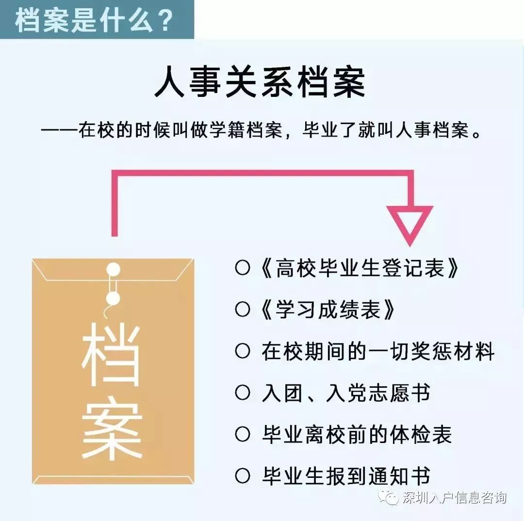 檔案人員補貼最新觀點論述，探討補貼政策與檔案人員發(fā)展的關(guān)系