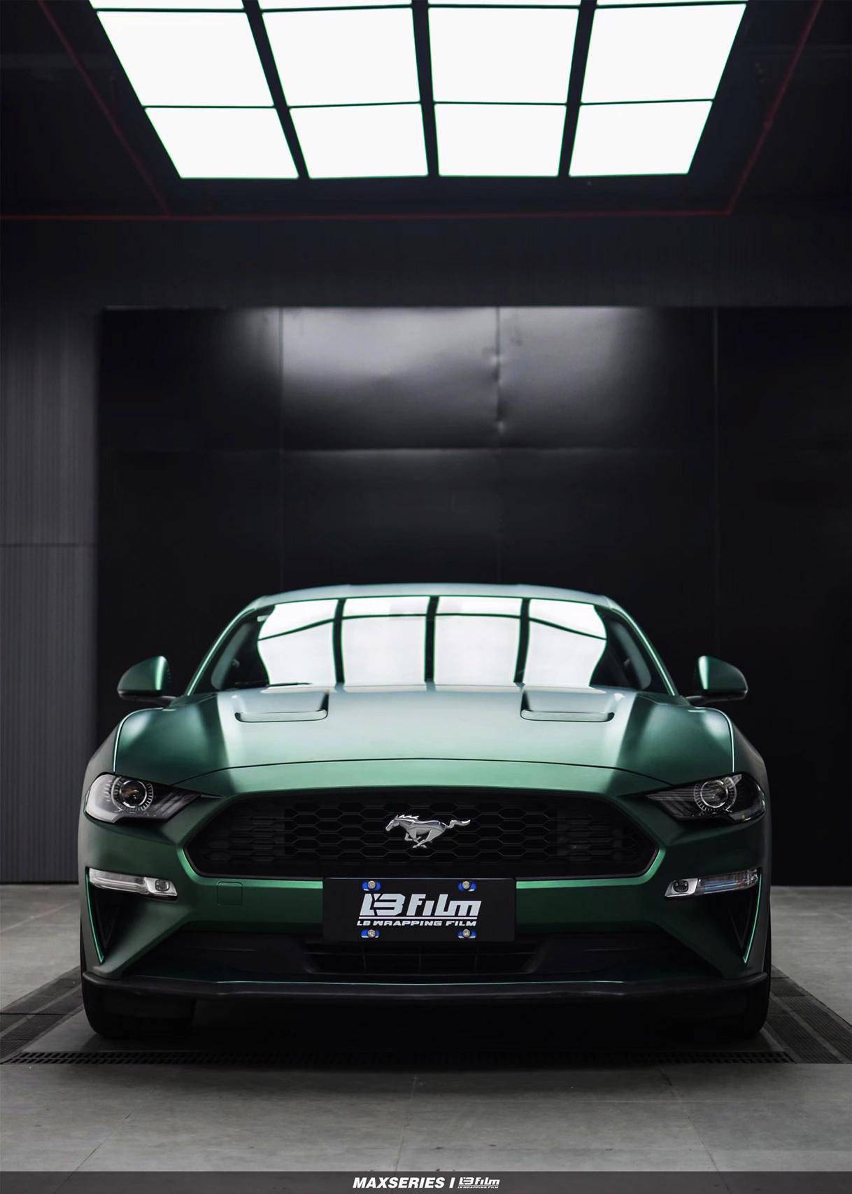 最新野馬汽車(chē)，技術(shù)革新與市場(chǎng)競(jìng)爭(zhēng)的展現(xiàn)