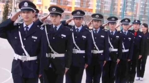 寧國最新保安招聘及其探討，行業(yè)現(xiàn)狀與發(fā)展趨勢分析