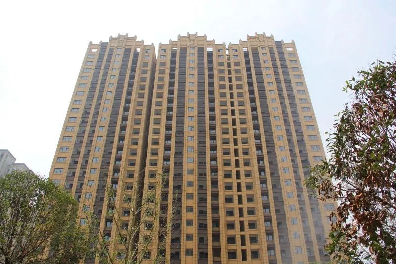 紫荊城邦最新動(dòng)態(tài)，揭開未來生活新篇章的序幕