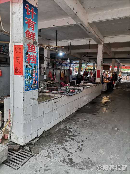 最新魚檔轉讓，把握商機，輕松開啟水產養(yǎng)殖事業(yè)之路