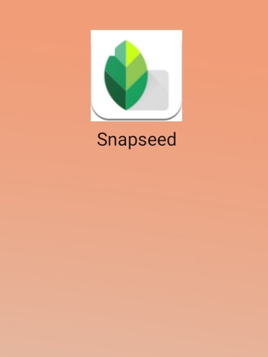 最新snapseed中文版，科技重塑影像，讓生活因攝影更精彩