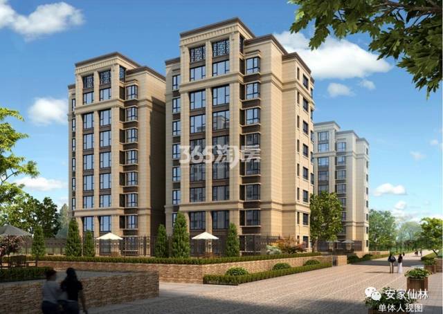 銀城東岳府最新動(dòng)態(tài)分析揭秘，最新消息與進(jìn)展