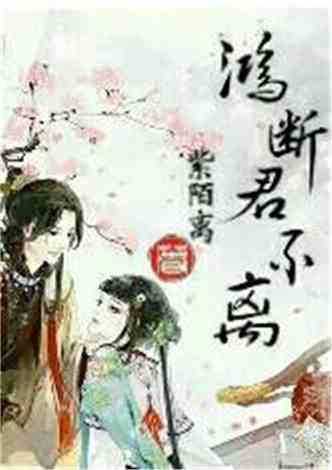 沈南汐最新小說，知識(shí)的力量，成就夢(mèng)想的翅膀之路