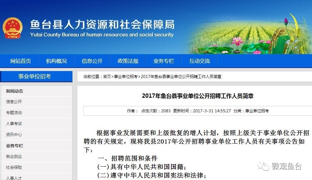 魚臺最新招聘信息大全，求職步驟指南與招聘信息更新速遞