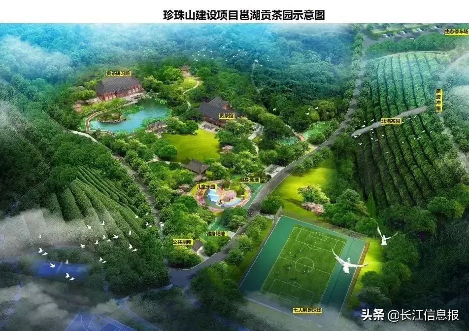 岳陽北港小學(xué)最新動態(tài)揭秘，校園新聞與活動更新