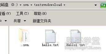 Jav最新網(wǎng)址探索，小巷深處的獨(dú)特風(fēng)味之旅