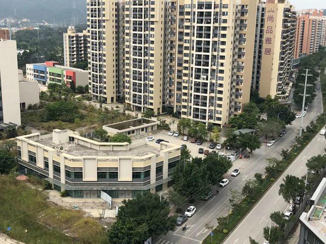 膠南山水雅居最新動態(tài)，鄰里日常趣事與情感紐帶分享