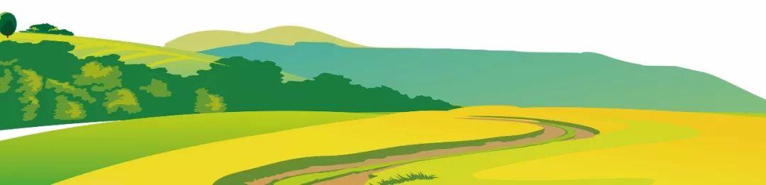 藍(lán)田縣未來藍(lán)圖，最新發(fā)展規(guī)劃揭秘