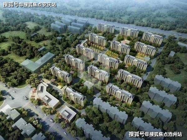 新浦塞納豪庭最新動(dòng)態(tài)更新