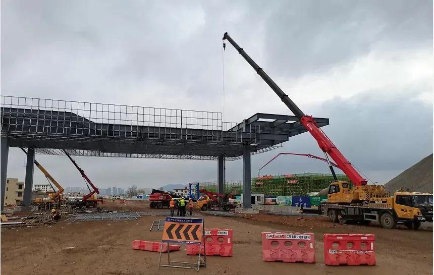 深度解析與探討，最新元龍劇情分析