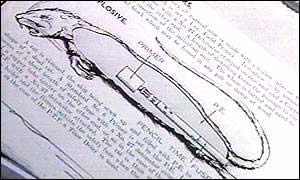 美國(guó)填尸最新進(jìn)展，高科技重塑生活，未來(lái)科技魅力體驗(yàn)