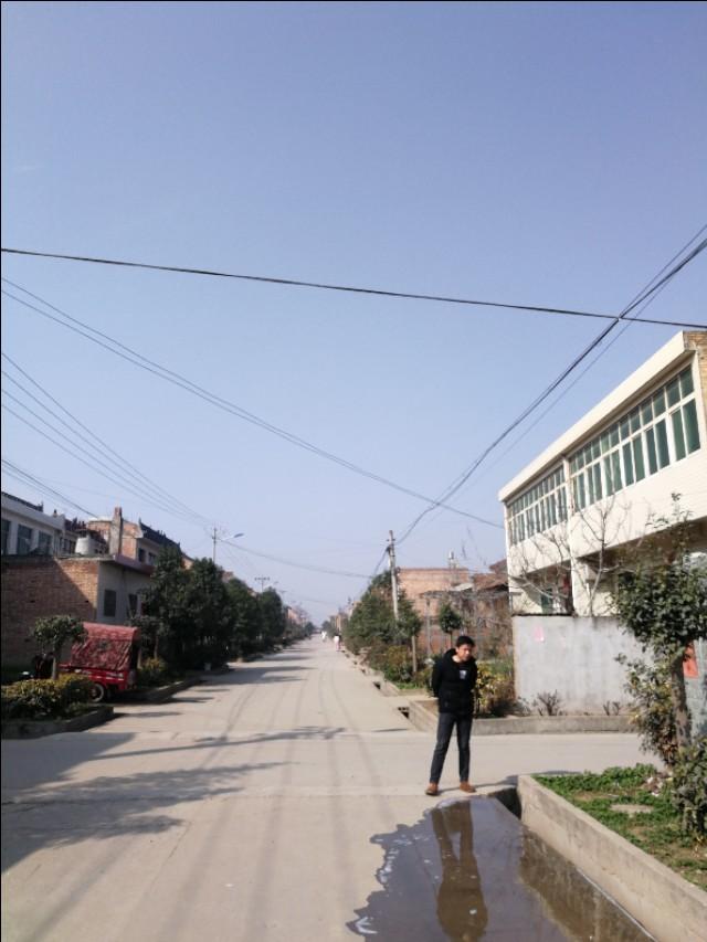 周至縣最新動態(tài)，發(fā)展脈搏與時代步伐的交融進(jìn)展