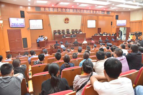 聶祖峰最新探索之旅，自然美景中的心靈尋覓與平和之境