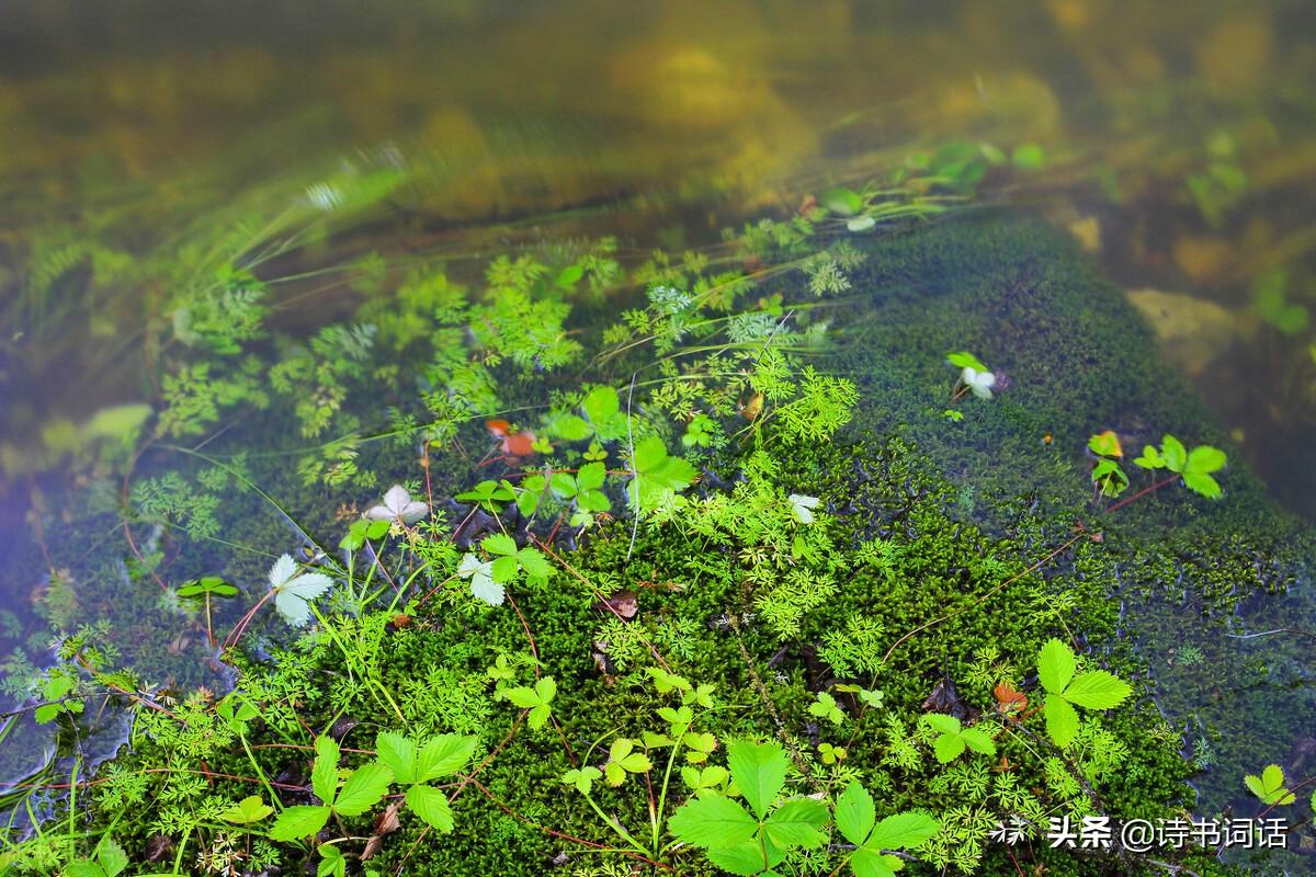 南山高樓崛起，背景、發(fā)展與時代地位全景解析