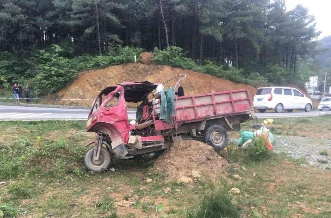 平山事故背后的溫馨故事，友情、愛與陪伴的奇遇