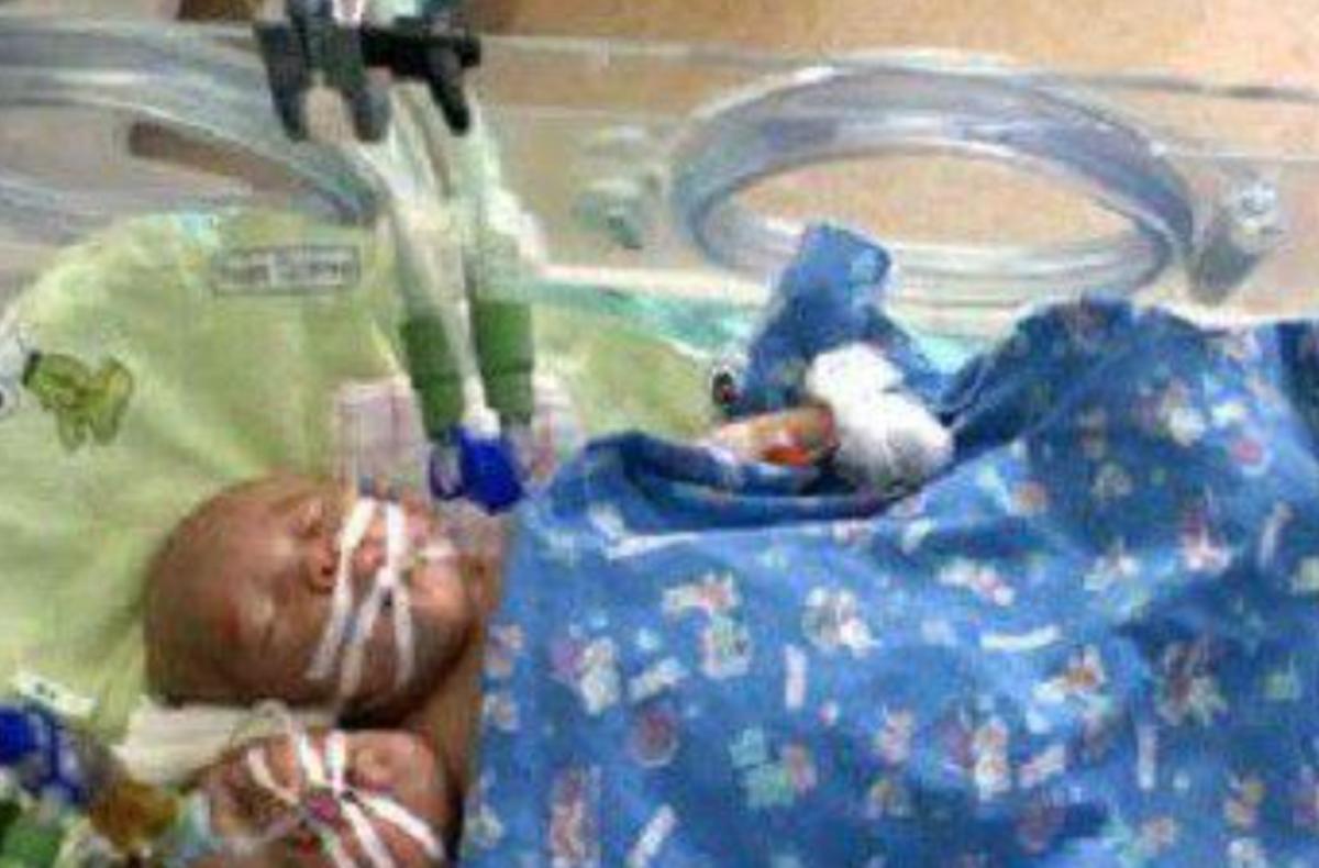 雙頭姐妹，時(shí)代背景下的傳奇故事最新進(jìn)展