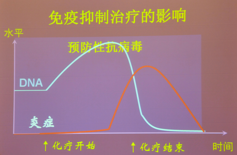 肝炎新進(jìn)展揭秘，小巷深處的秘密小店探索
