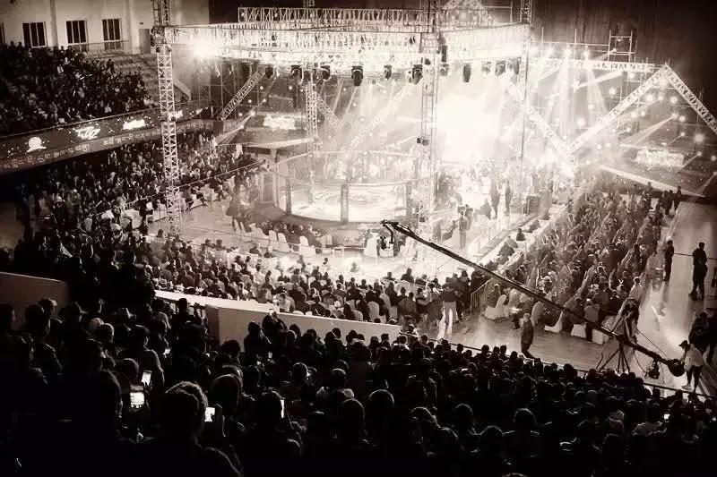 武林籠中對最新一期，自然美景中的對決與內(nèi)心平靜之旅