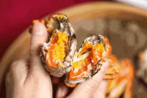 ??陽澄湖螃蟹上市季節(jié)情報(bào)，吃貨必知的秋季美味盛宴！??