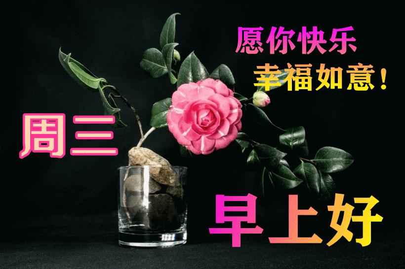 最新早晨問候動(dòng)態(tài)表情包，溫馨問候，從表情開始！