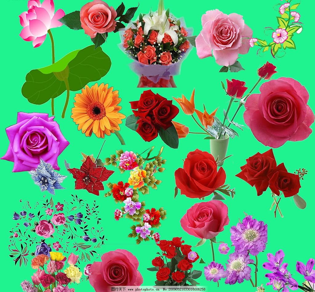 最新花款下載，愛與陪伴的溫馨之旅