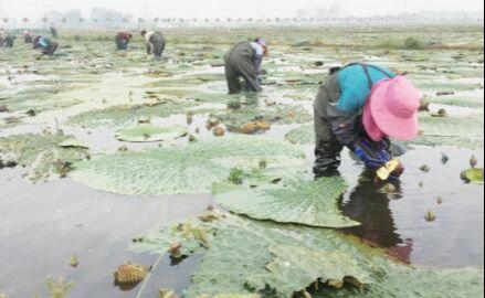 王碼五最新版，鍵盤上的友情與家的溫馨體驗
