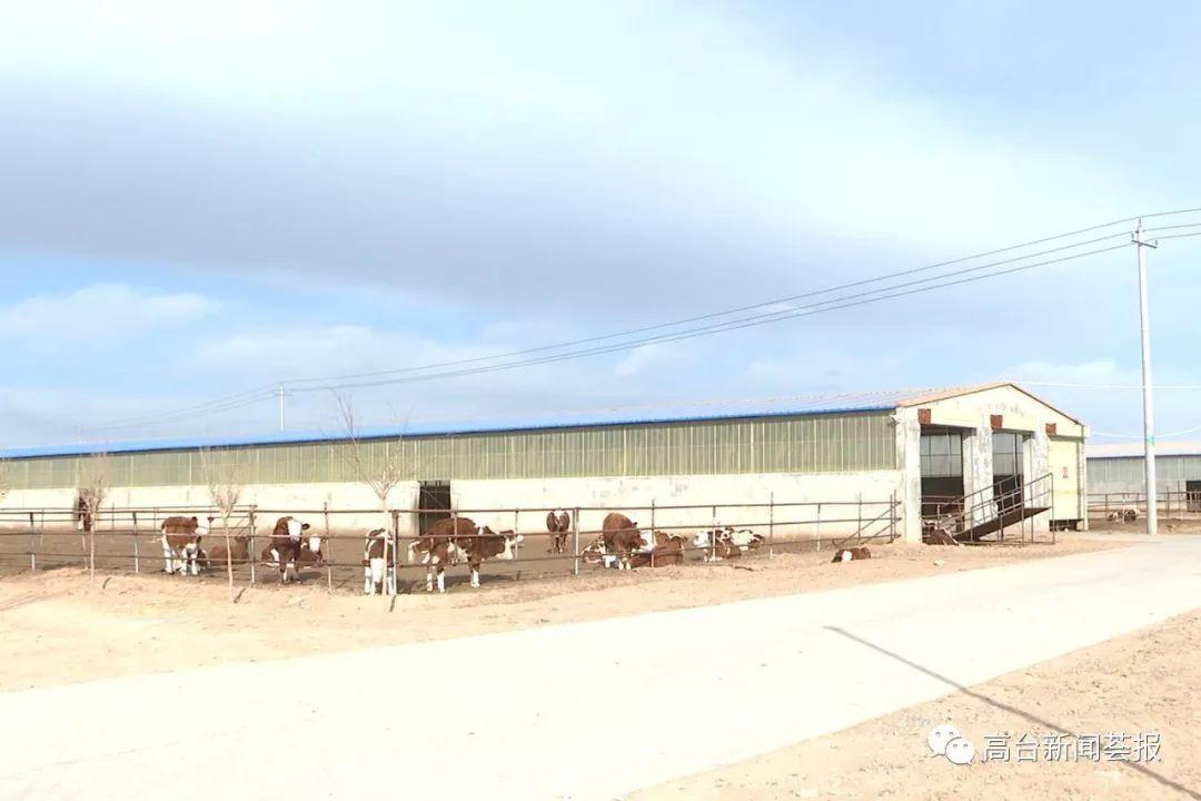 最新養(yǎng)殖場建設(shè)政策解讀，探索之旅啟程