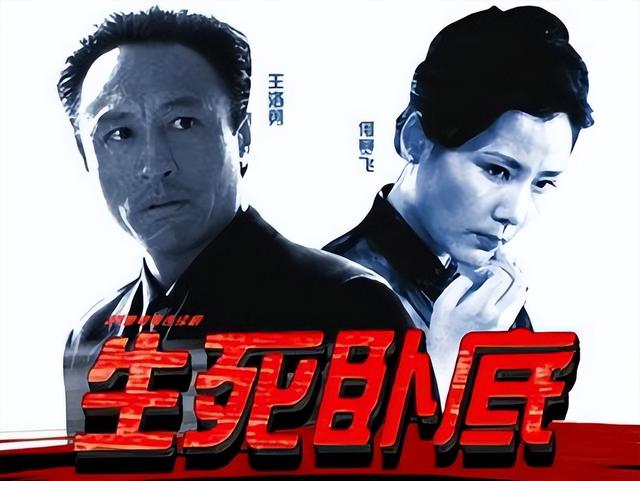 中國(guó)毒梟電視劇大全，友情與陪伴的溫馨日常之旅