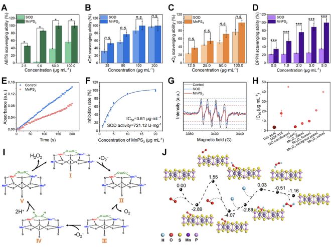 頭發(fā)再生研究新動態(tài),頭發(fā)再生研究新動態(tài)，小巷深處的秘密秀發(fā)實(shí)驗(yàn)室