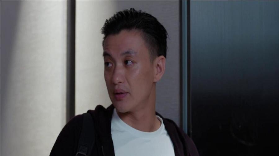 郭鑫年最新動(dòng)態(tài)揭秘，小巷特色小店探索之旅