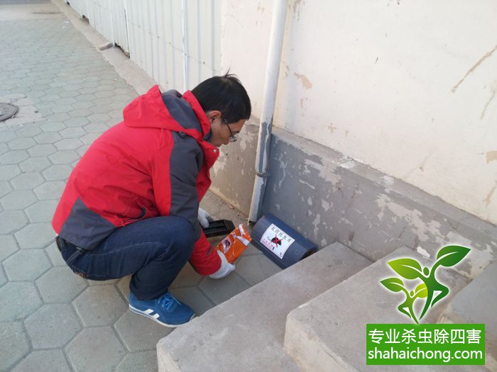 最新滅鼠技術(shù)的觀點(diǎn)論述與立場(chǎng)闡述，創(chuàng)新方法的探索與挑戰(zhàn)