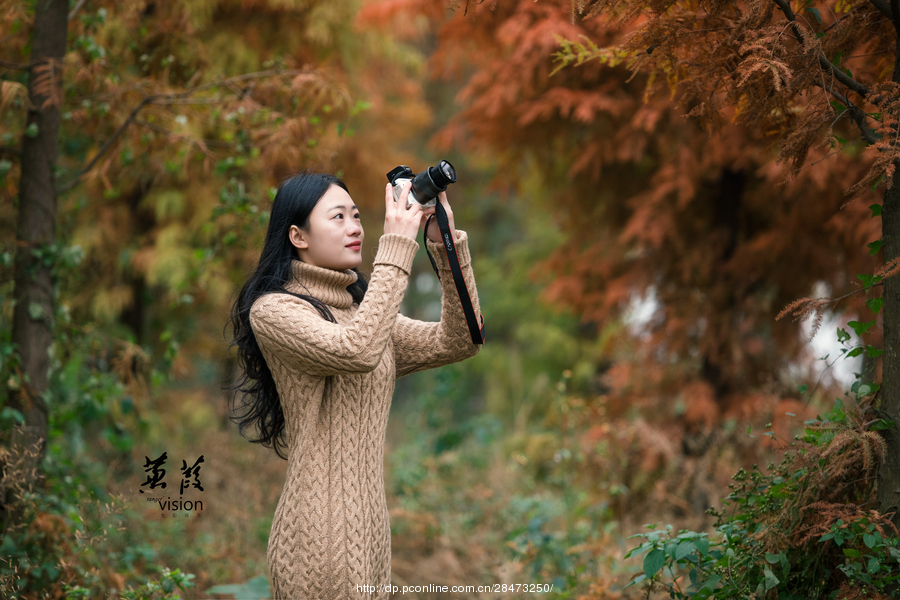 伊人在線電影，探索現(xiàn)代網(wǎng)絡影視的新境界