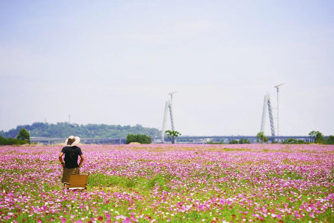 陳小北聚焦科技前沿，引領(lǐng)創(chuàng)新潮流新動(dòng)態(tài)