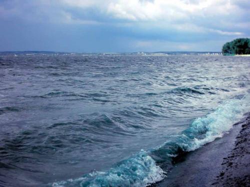 佳木斯新版，時(shí)代印記與變遷的見證者