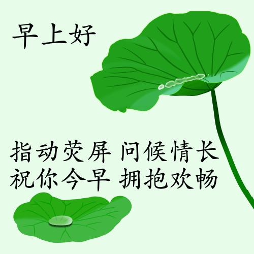 最新疫情動(dòng)態(tài)