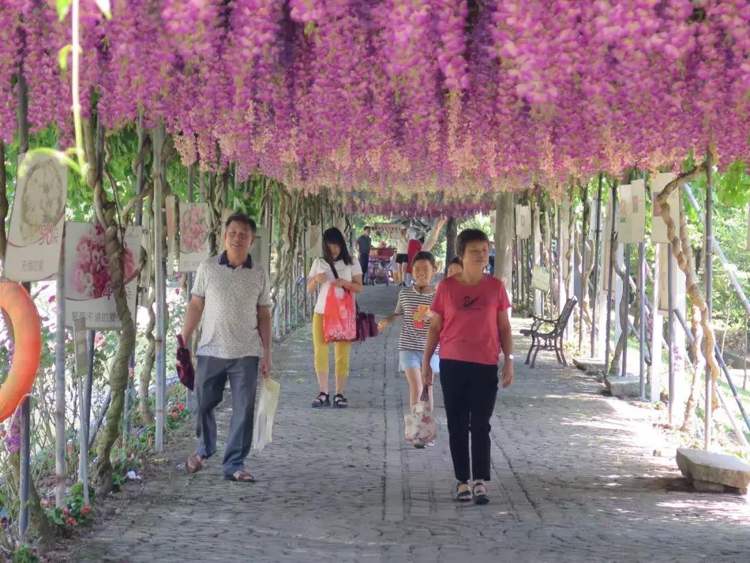 收入寶全新版本，家庭與友情的交織故事