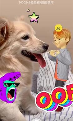 崽崽最新版下載，一段充滿愛與陪伴的溫馨旅程