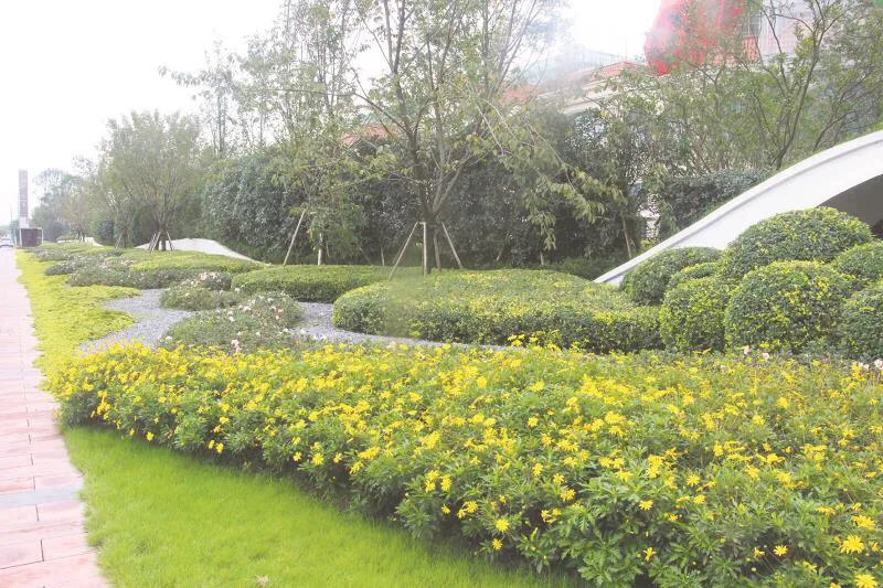 嬢王演員的自然之旅，邂逅美景，尋找內(nèi)心平和之道