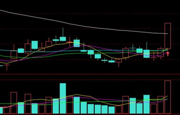 融捷最新公告詳解，任務(wù)完成指南與技能學(xué)習(xí)步驟全面解析