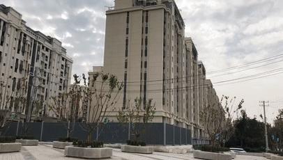 趙村最新動(dòng)態(tài)，鄉(xiāng)村振興新篇章開啟