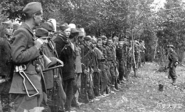 南斯拉夫電影二戰(zhàn)老片，自然美景背后的探索之旅