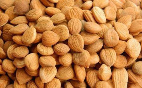 苦杏仁行情深度解析，背景、事件與地位探究