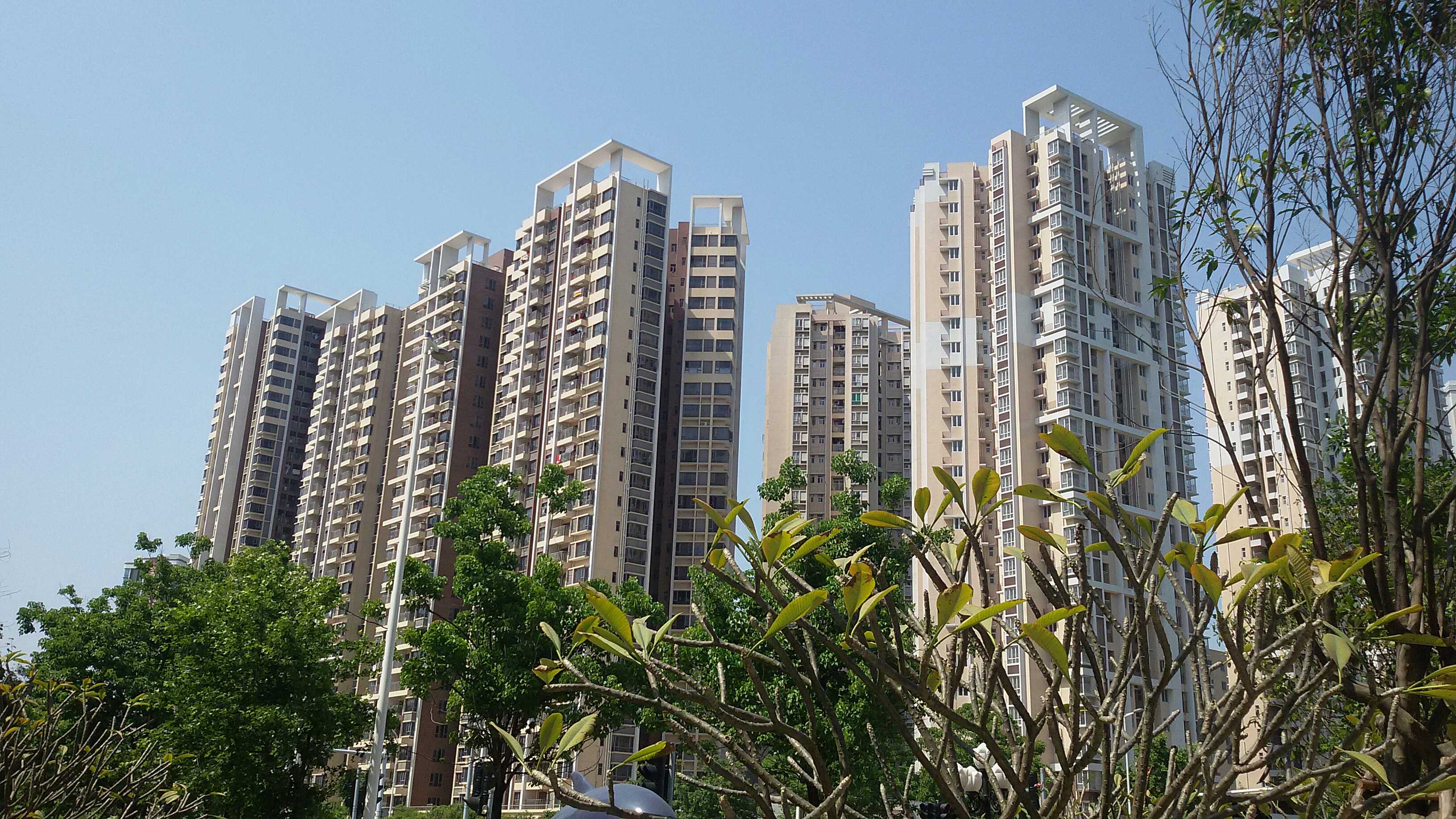 新建縣最新房產(chǎn)價(jià)格概覽及市場趨勢與前景展望