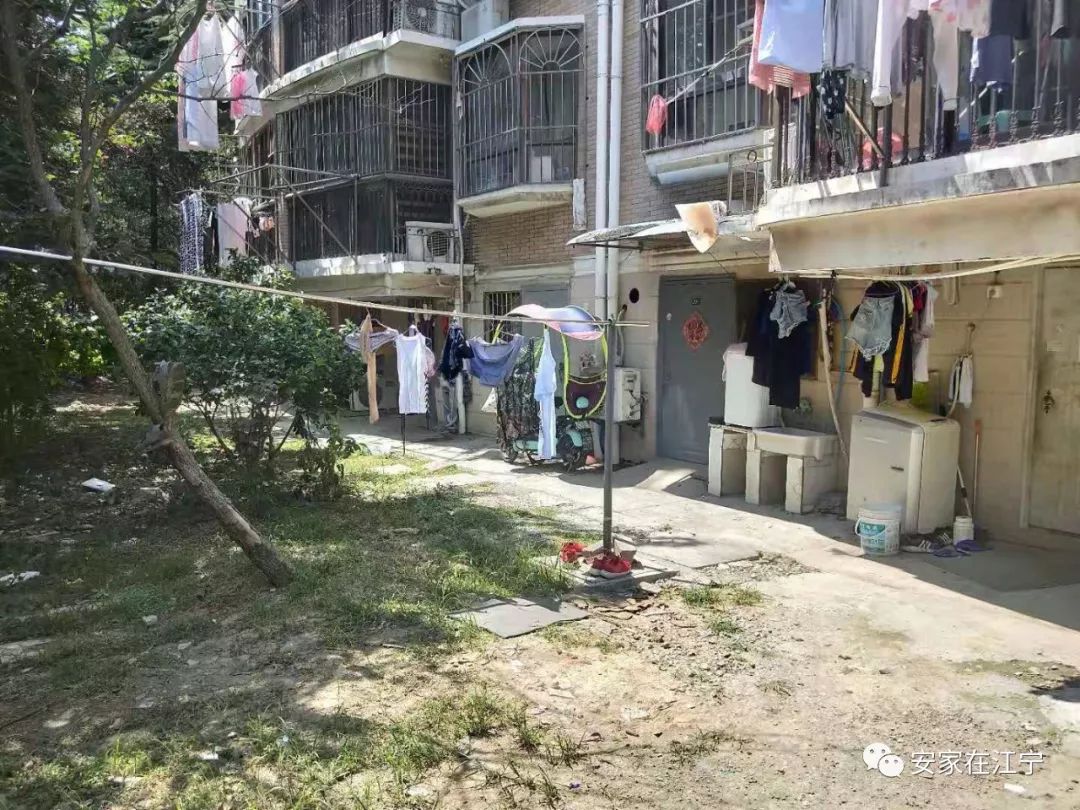 最新大雜亂時代，混沌與秩序的重建之路