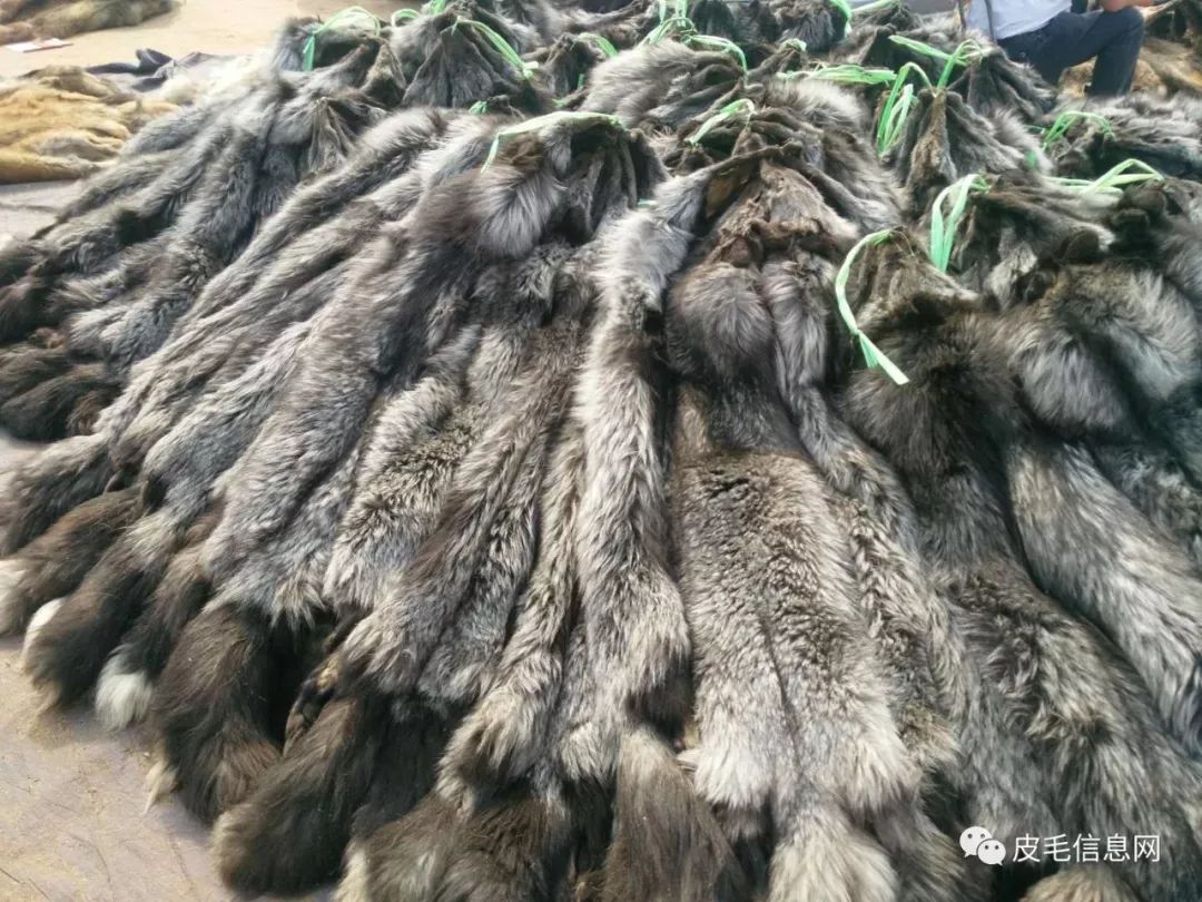 貉皮尚村最新價格，小巷中的時尚皮草寶藏探索