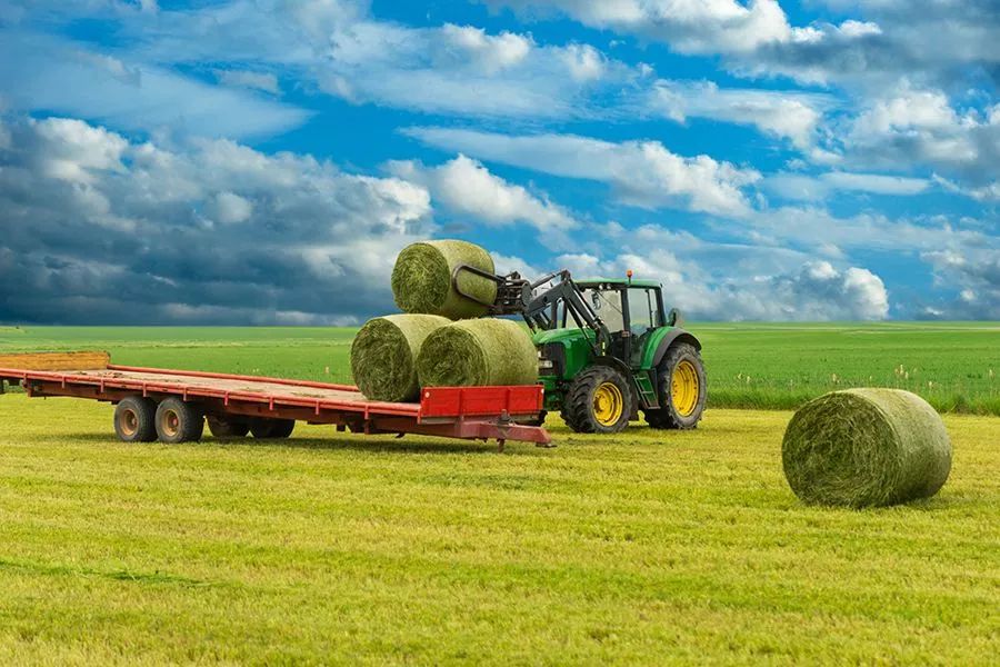 農(nóng)業(yè)最新動態(tài)，時代的脈搏與綠色希望共舞